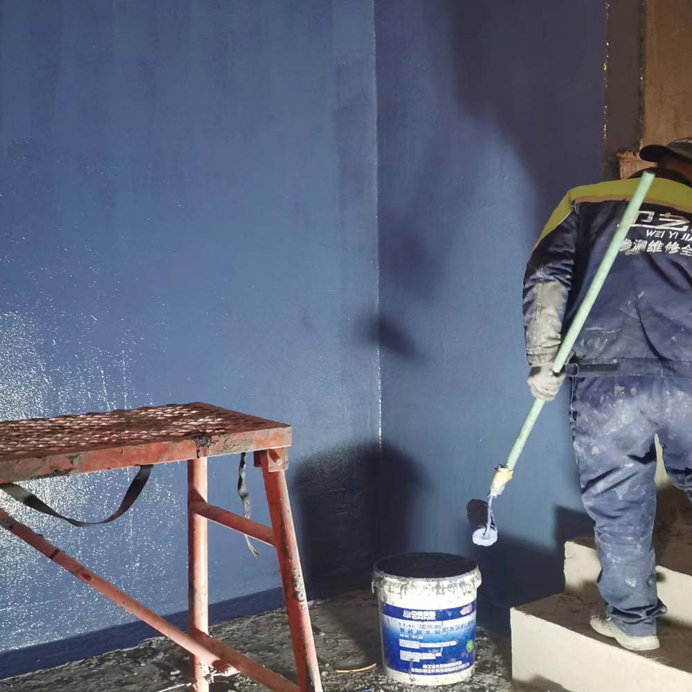 专业别墅防水防潮施工公司